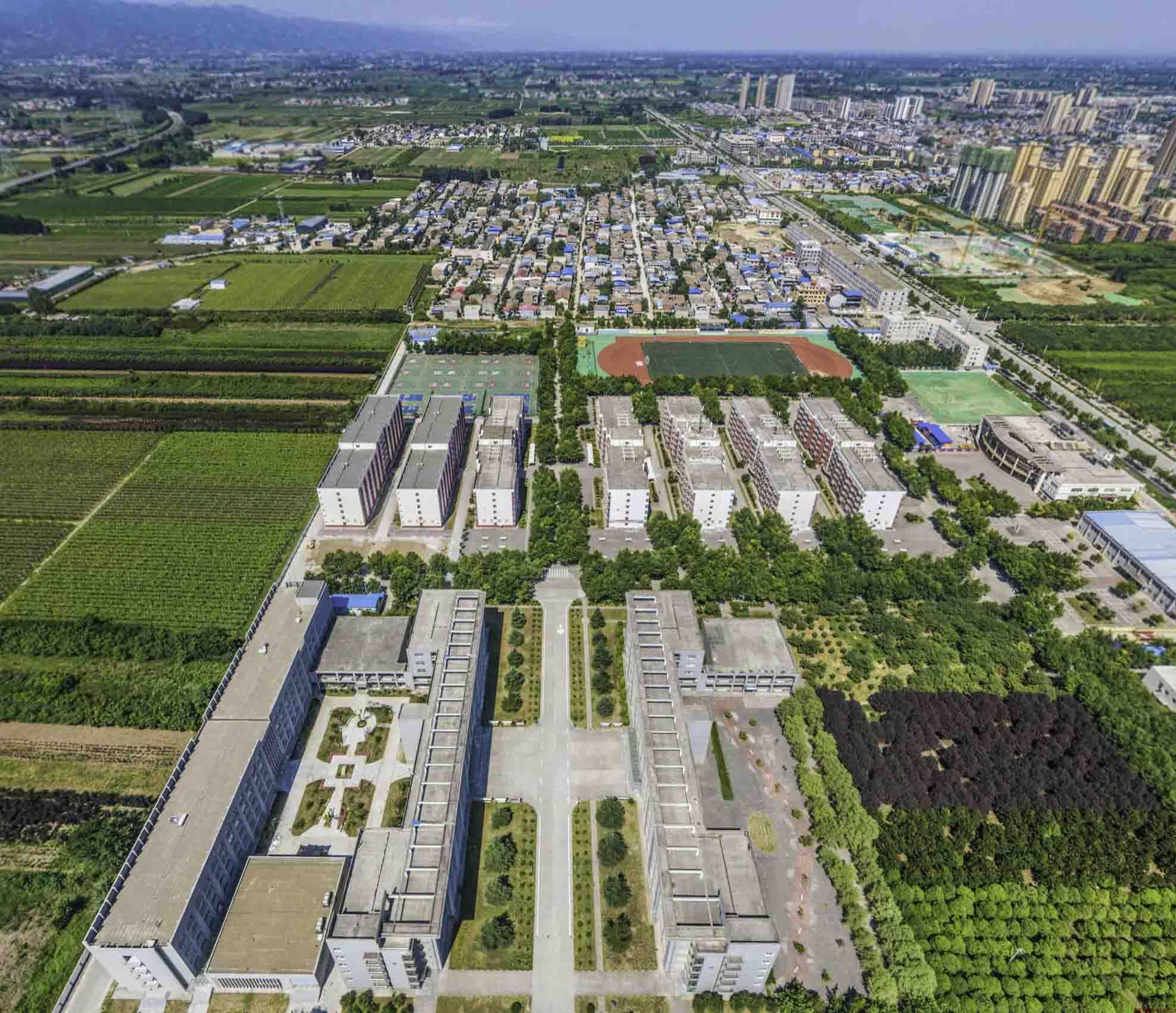 VR全景技术在艺术创作领域的应用